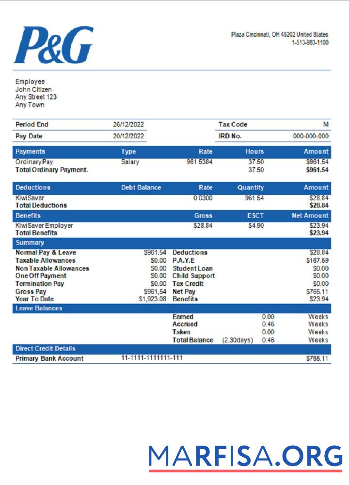 Realistic USA Procter & Gamble consumer products company pay stub example